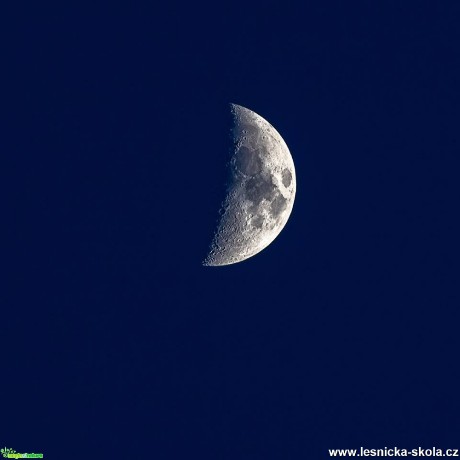 Měsíc - Foto Jana Vondráčková 0218