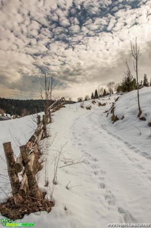 Březnové Tatry - Foto Jozef Pitoňák 0318 (2)