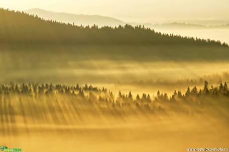 Svítání na Šumavě - Foto Petr Germanič 0318