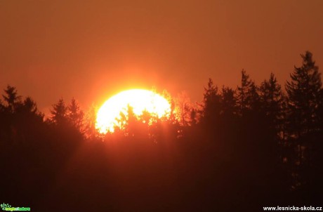 Přichází nový den - Foto Ladislav Jonák 0418