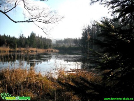 Děvínský rybník na Liberecku - Foto Josef Vykoukal