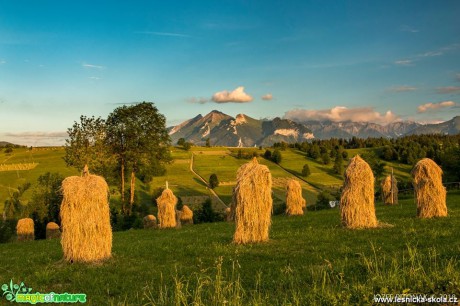 Senoseč na horách - Foto Jozef Pitoňák 0618 (1)