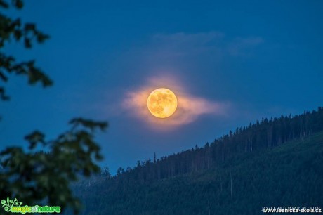 Kouzlo měsíce - Foto Jozef Pitoňák 0618