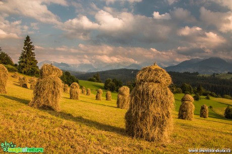 Kouzlo slovenských hor - Foto Jozef Pitoňák 0618 (8)