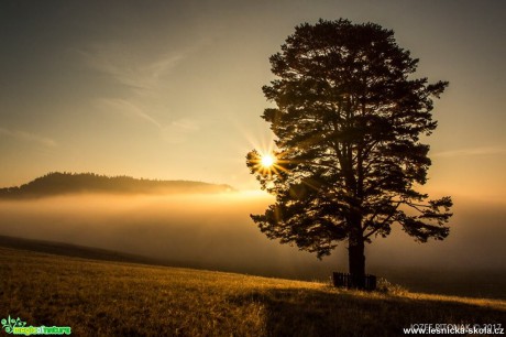 Krása a divokost hor - Foto Jozef Pitoňák 1117 (6)