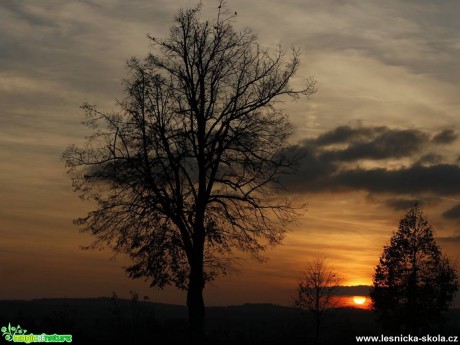 Jarní západ - Foto Ladislav Jonák 0318