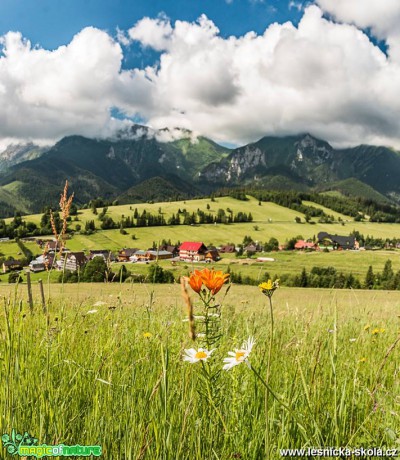 Kouzlo slovenských hor - Foto Jozef Pitoňák 0618 (3)