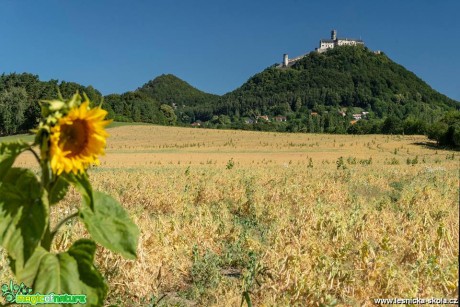 Pod Bezdězem - Foto Petr Germanič 0718