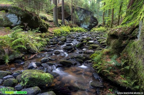 Kyjovské údolí - Foto Petr Germanič 0918