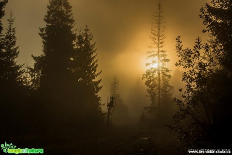 Podzim na horách - Foto Jozef Pitoňák 0918 (8)