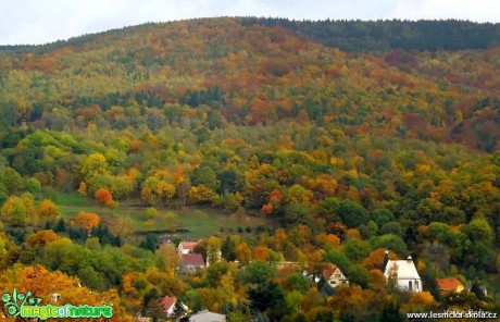 Podzimní barvy - Foto Jiří Havel 0918 (1)