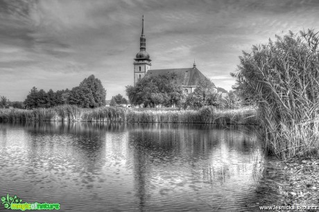 V Mostě u kostela - Foto Pavel Ulrych 1018 (1)