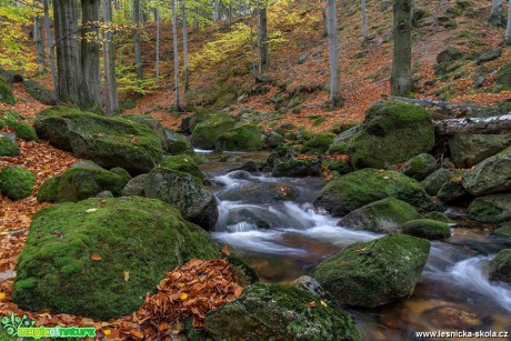 Jizerské šumění - Foto Petr Germanič 1018