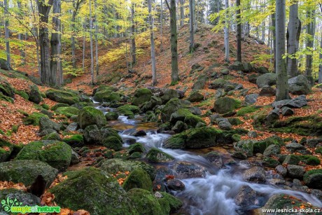 Podzimní Černý potok - Foto Petr Germanič 1018