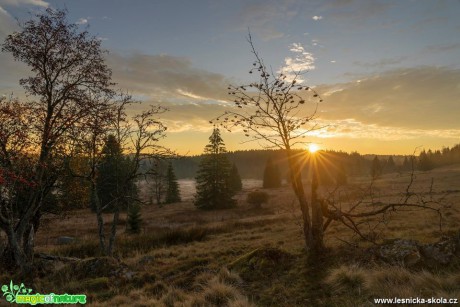 Když slunce vykoukne - Knižecí pláně - Šumava - Foto Petr Germanič 1018