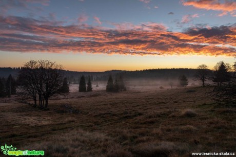 Než vyjde slunce - Šumava - Foto Petr Germanič 1018