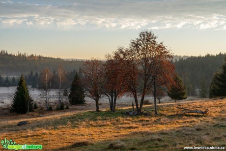 Šumavské Knížecí pláně - Foto Petr Germanič 1018