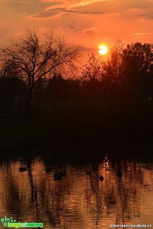 V hlavní roli slunce - Foto Marie Vykydalová 1018 (2)