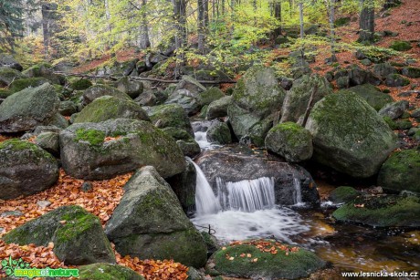 Černý potok - Jizerky 2018 - Foto Petr Germanič 1118