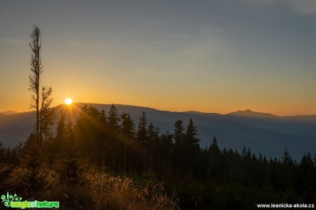 Stmívání na Pancíři - Šumava - Foto Petr Germanič 1118