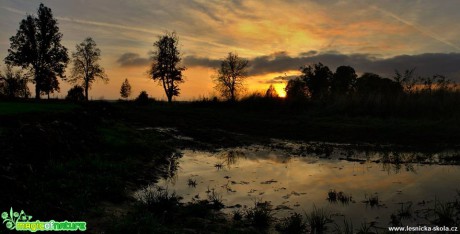 Pohled ke slunci - Foto Ladislav Jonák 1118