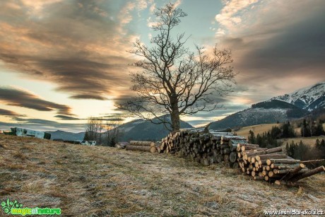 Obrázky života slovenských hor - Foto Jozef Pitoňák 1118 (5)