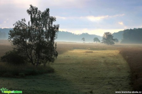 Rozednění - Foto František Novotný 1118