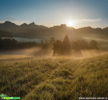 Na paprscích slunce - Foto Filip Holič 1118