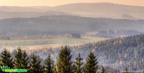 Pohled ze sjezdovky na Rohoznou a Nový Rychnov - Foto Ladislav Jonák 1218