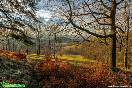 Zlatý vrch - vesnička Líska - prosinec - Foto Petr Germanič 0119