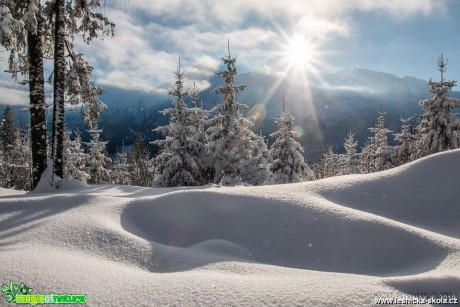 Zima na slovenských horách - Foto Jozef Pitoňák 0119 (3)