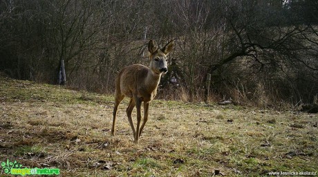 Naše krásná Vysočina - Foto Ladislav Jonák 0319 (2)