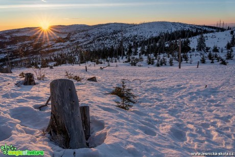 Třístoličník 1331 m.n.m. - Šumava - Foto Petr Germanič 0319