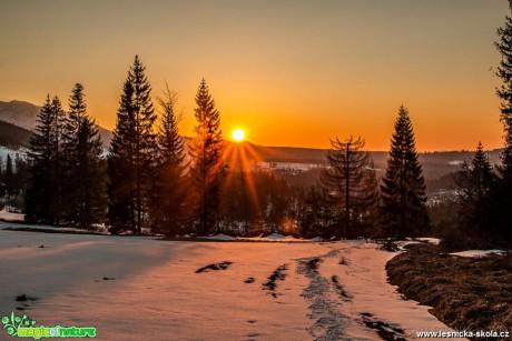 Slunce léčí - Foto Jozef Pitoňák 0319