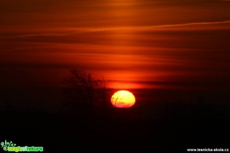 Březnový halový sloup na Jihlavsku - Foto Ladislav Jonák 0419