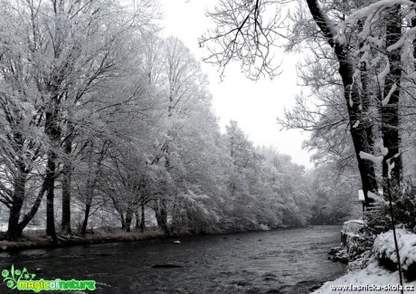 Střípky zimy - Foto Miloslav Míšek 0419 (3)