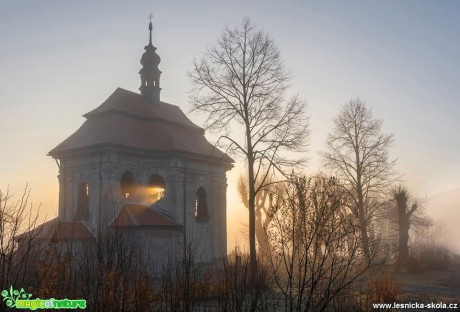 Ranní probouzení - Foto Petr Germanič 0519