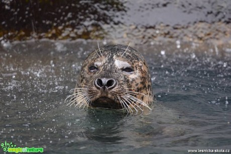 ZOO Jihlava - Foto Marie Vykydalová 0419 (12)