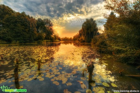 Grado Čelákovice - Foro Jana Vondráčková 0519