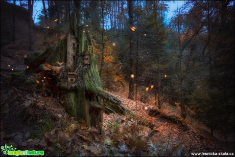 Hrad lesních skřítků - Foto Jana Vondráčková 0119