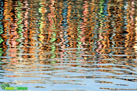 Všechny barvy vody - Foto Tomáš Kunze 0919