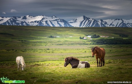 Krajina Islandu - Foto Ladislav Hanousek 0919 (3)
