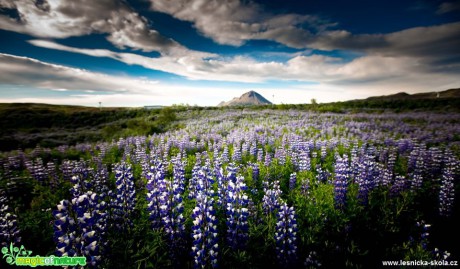 Krajina Islandu - Foto Ladislav Hanousek 0919 (5)