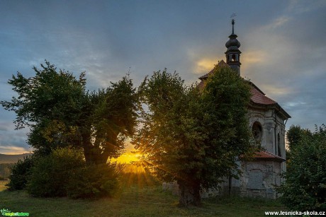 Ranní probouzení - Foto Petr Germanič 1009