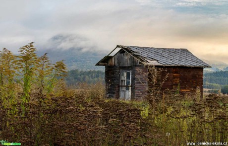 Sloupská skoroskandinávie - Foto Peetr Germanič 1009