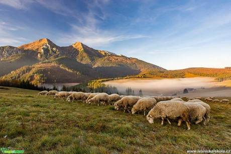 Krása podzimních slovenských hor - Foto Jozef Pitoňák 1019 (4)