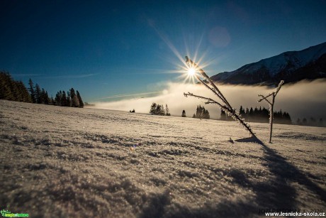 Krása zimy slovenských hor - Foto Jozef Pitoňák 0120 (4)