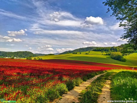 Barvy v krajině - Foto Jan Valach 0520 (2)