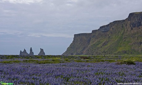 Vík, skály Reynisdrangar - Foto Michaela Knoppová