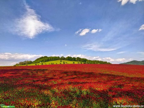 Barvy v krajině - Foto Jan Valach 0520 (1)